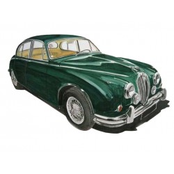 Jaguar Mk II Verte