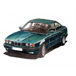 BMW 520 Verte