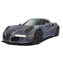 Alfa Romeo 4C Grise