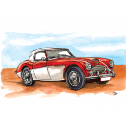 Austin Healey