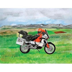 KTM 660