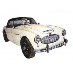 Austin Healey 3000