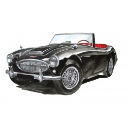 Austin Healey Noire