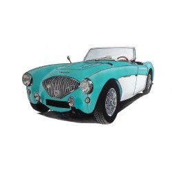 Austin Healey 3000