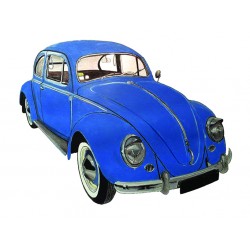 VW Volkswagen cox bleu