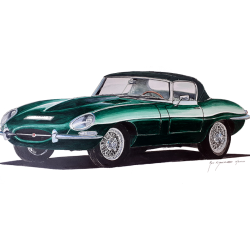 Jaguar Type E Verte