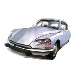 Citroën DS grise