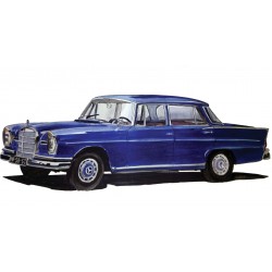 Mercedes 220 Bleue