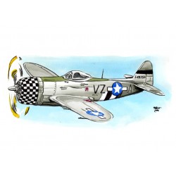 Mustang P51