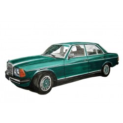 Mercedes 300D Verte